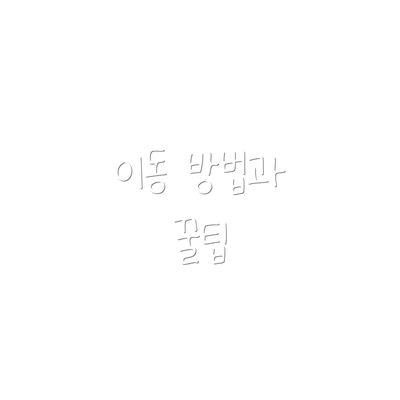 이동 방법과 꿀팁