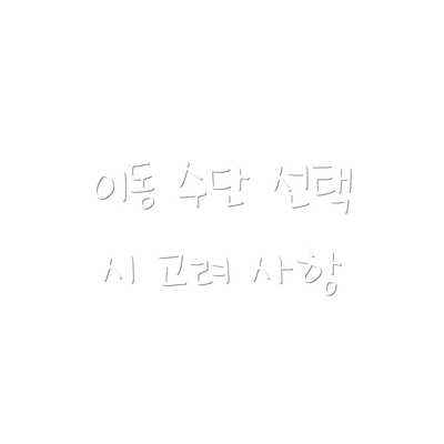 이동 수단 선택 시 고려 사항