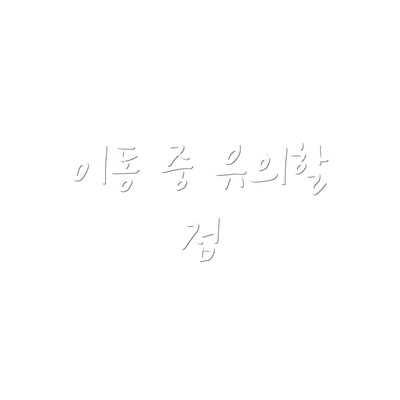 이동 중 유의할 점