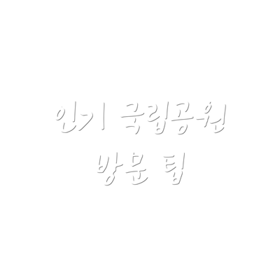 인기 국립공원 방문 팁