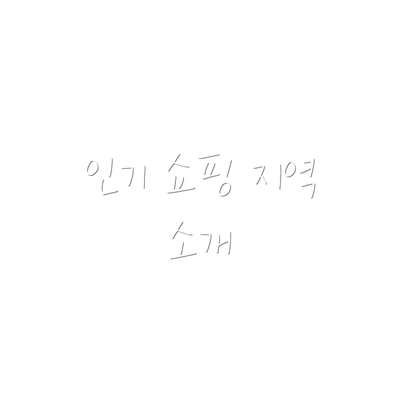 인기 쇼핑 지역 소개
