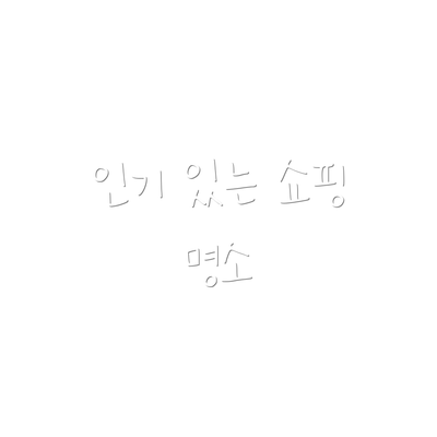 인기 있는 쇼핑 명소