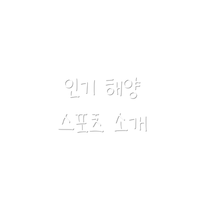 인기 해양 스포츠 소개