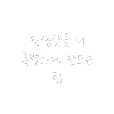 인생샷을 더 특별하게 만드는 팁