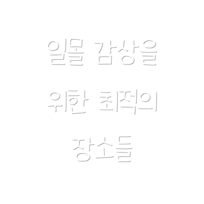 일몰 감상을 위한 최적의 장소들