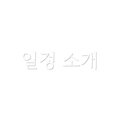 일정 소개
