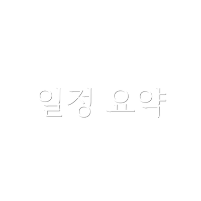 일정 요약