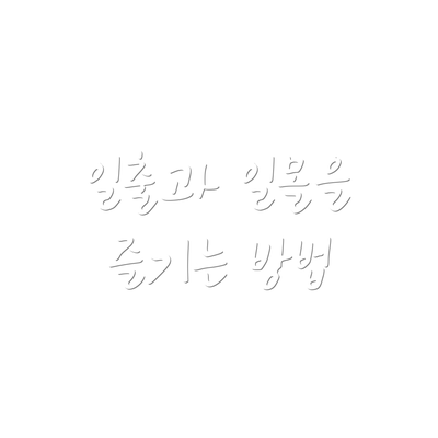 일출과 일몰을 즐기는 방법