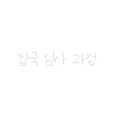 입국 심사 과정
