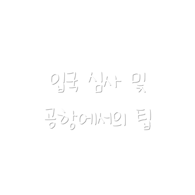 입국 심사 및 공항에서의 팁