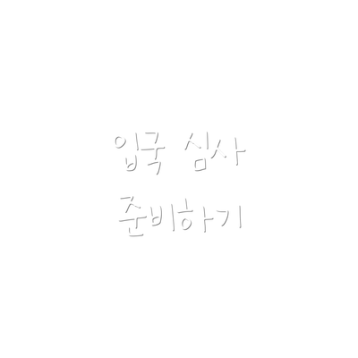 입국 심사 준비하기