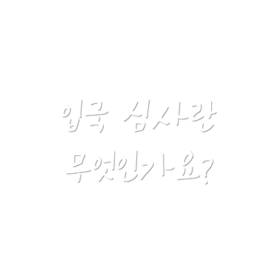 입국 심사란 무엇인가요?