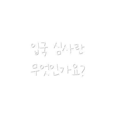 입국 심사란 무엇인가요?