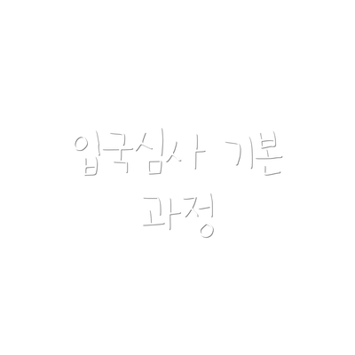 입국심사 기본 과정