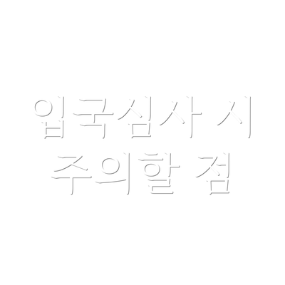 입국심사 시 주의할 점
