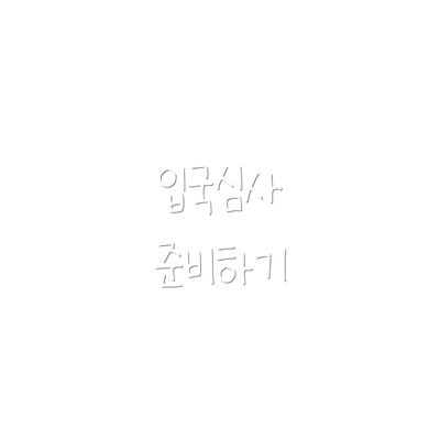 입국심사 준비하기