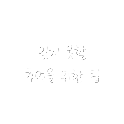 잊지 못할 추억을 위한 팁