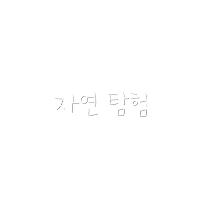 자연 탐험
