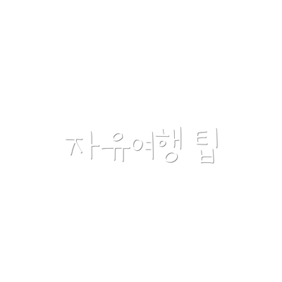 자유여행 팁