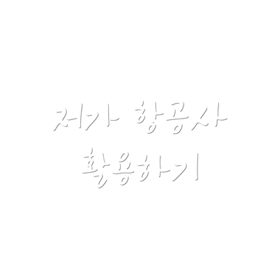저가 항공사 활용하기