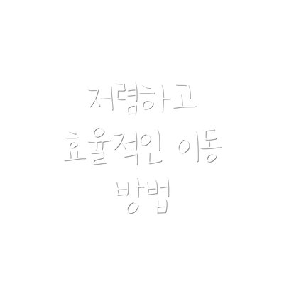 저렴하고 효율적인 이동 방법