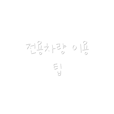 전용차량 이용 팁