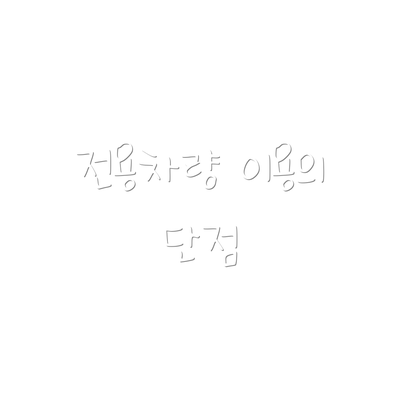 전용차량 이용의 단점