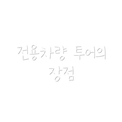 전용차량 투어의 장점