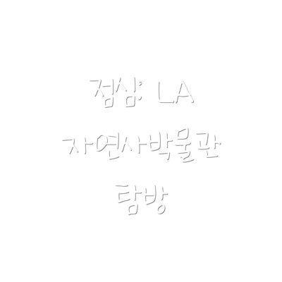 점심: LA 자연사박물관 탐방