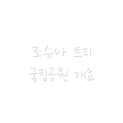 조슈아 트리 국립공원 개요