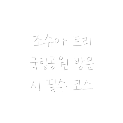 조슈아 트리 국립공원 방문 시 필수 코스