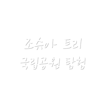 조슈아 트리 국립공원 탐험