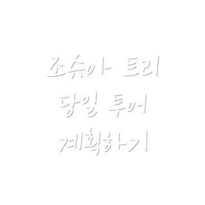 조슈아 트리 당일 투어 계획하기