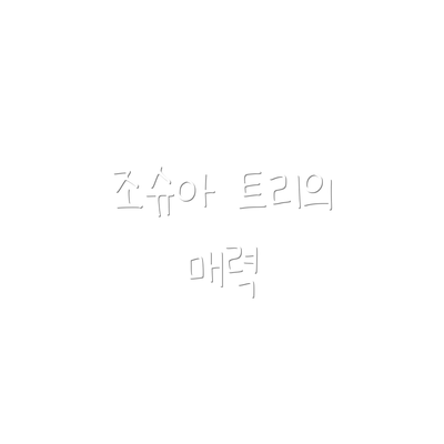 조슈아 트리의 매력