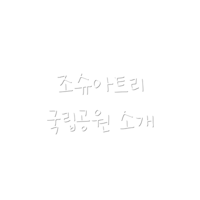 조슈아트리 국립공원 소개