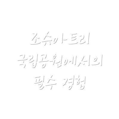 조슈아트리 국립공원에서의 필수 경험