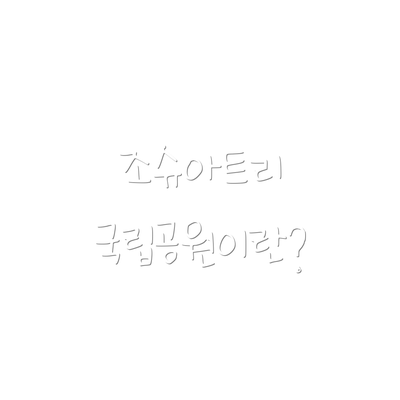 조슈아트리 국립공원이란?