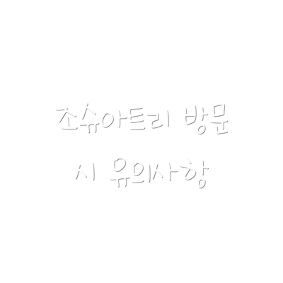 조슈아트리 방문 시 유의사항