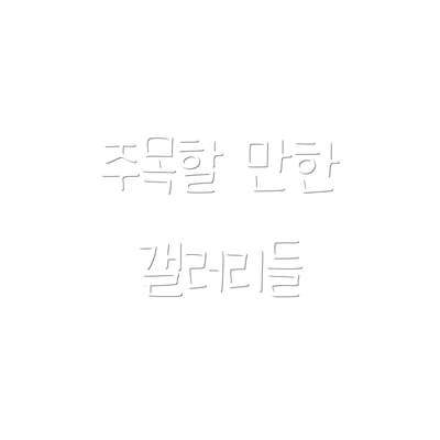 주목할 만한 갤러리들