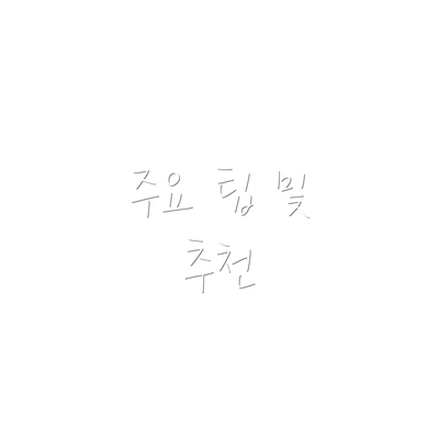 주요 팁 및 추천