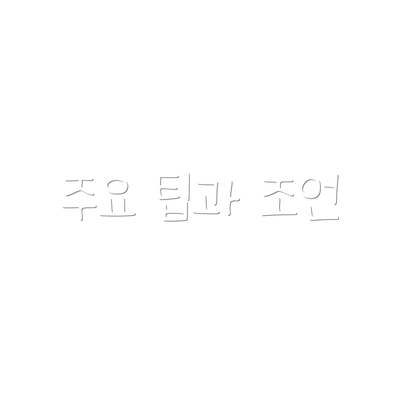 주요 팁과 조언