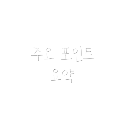 주요 포인트 요약