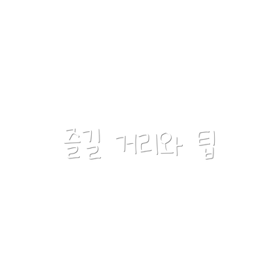 즐길 거리와 팁