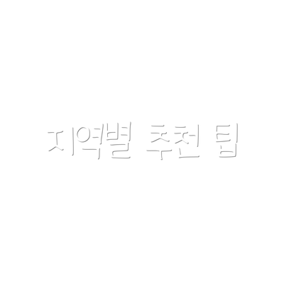 지역별 추천 팁