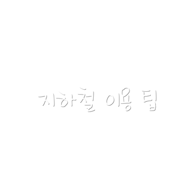 지하철 이용 팁