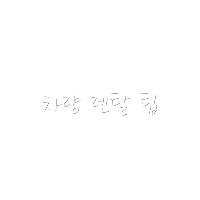 차량 렌탈 팁