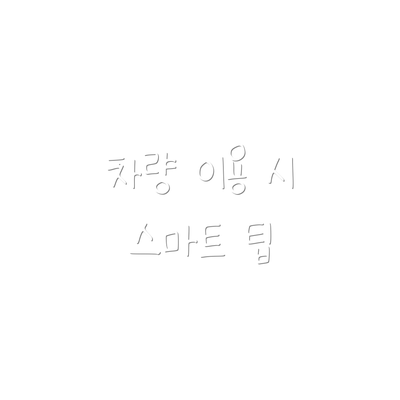 차량 이용 시 스마트 팁