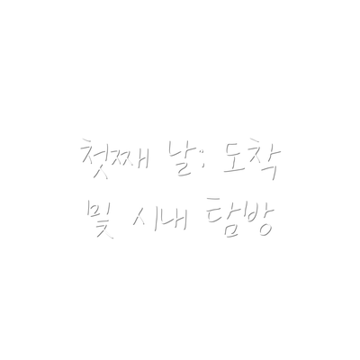 첫째 날: 도착 및 시내 탐방
