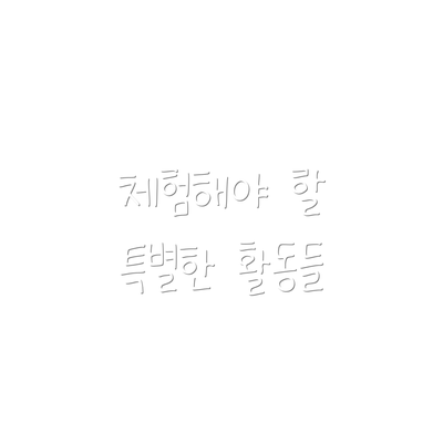 체험해야 할 특별한 활동들