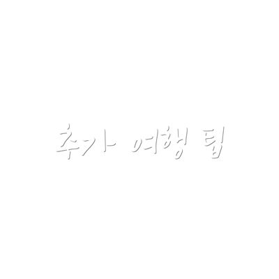추가 여행 팁